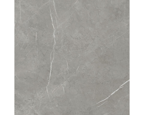 Wand- en vloertegel Aran dark grey 60x60 cm gerectificeerd Tegelpatroon met marmerlook