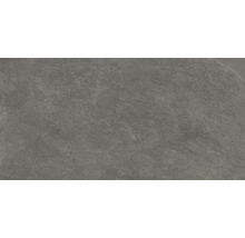 Wand- en vloertegel Feinstein mud 29.6x59.5 cm gerectificeerd