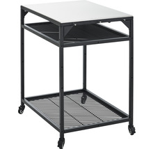 Serveertrolley met roestvrij stalen blad en twee opbergvakken
