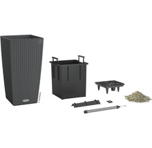 Lechuza Classico plantenzuil met irrigatiesysteem en accessoires