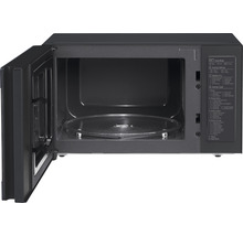 Geopende magnetron met draaiplateau