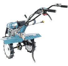 Motorfrees voor tuinwerkzaamheden