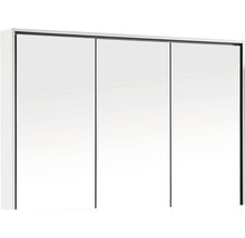 DIFFERNZ Spiegelkast Providence 70x120x16 cm wit