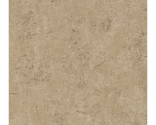 A.S. CRÉATION Vliesbehang 38484-1 Desert Lodge betonlook bruin Behang met structuurpatroon