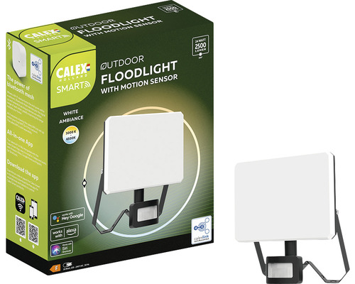 Calex buitenlamp met bewegingssensor en productverpakking