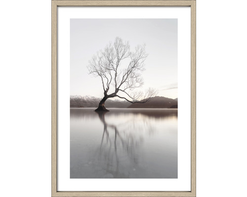 Ingelijste foto van een boom in het water