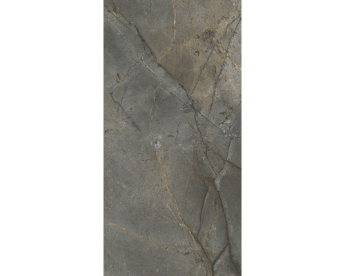 Wand- en vloertegel Lido Graphite antraciet 119,7x59,7 cm gerectificeerd Wand- en vloertegel Lido Graphite antraciet 119,7x59,7 cm gerectificeerd
