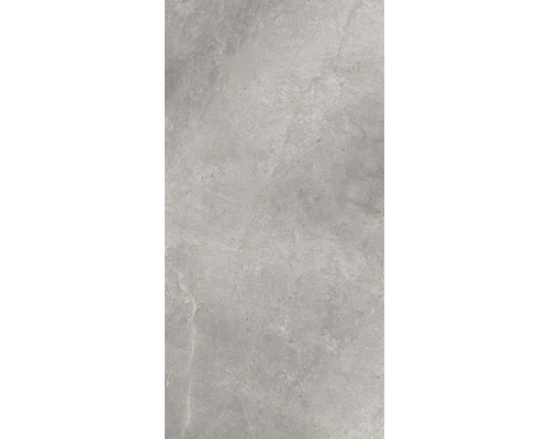 Wand- en vloertegel Lido Silver zilvergrijs 119,7x59,7 cm gerectificeerd Wand- en vloertegel Lido Silver zilvergrijs 119,7x59,7 cm gerectificeerd