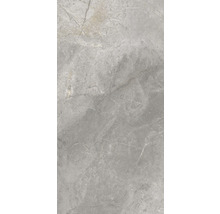 Wand- en vloertegel Lido Silver zilvergrijs 119,7x59,7 cm gerectificeerd