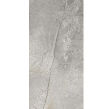 Wand- en vloertegel Lido Silver zilvergrijs 119,7x59,7 cm gerectificeerd
