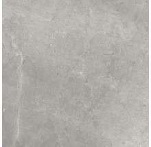 Wand- en vloertegel Lido Silver zilvergrijs 59,7x59,7 cm gerectificeerd