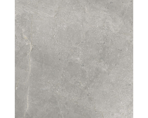 Wand- en vloertegel Lido Silver zilvergrijs 59,7x59,7 cm gerectificeerd