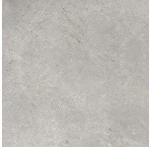 Wand- en vloertegel Lido Silver zilvergrijs 59,7x59,7 cm gerectificeerd