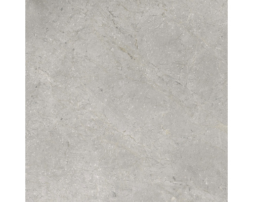 Grijze tegel met marmerstructuur