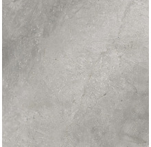 Wand- en vloertegel Lido Silver zilvergrijs 59,7x59,7 cm gerectificeerd