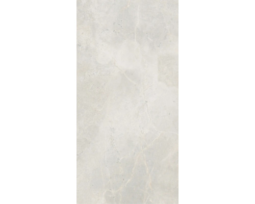 Wand- en vloertegel Lido White lichtgrijs 119,7x59,7 cm gerectificeerd Wand- en vloertegel Lido White lichtgrijs 119,7x59,7 cm gerectificeerd