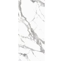 Wand- en vloertegel Calacatta wit-grijs gemarmerd 279,7x119,7 cm gerectificeerd