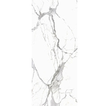 Wand- en vloertegel Calacatta wit-grijs gemarmerd 279,7x119,7 cm gerectificeerd