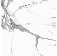 Wand- en vloertegel Calacatta wit-grijs gemarmerd 119,7x119,7 cm gerectificeerd