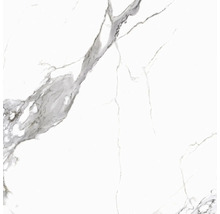 Wand- en vloertegel Calacatta wit-grijs gemarmerd 119,7x119,7 cm gerectificeerd