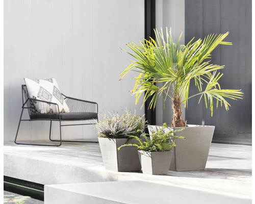 Buitenkant met fauteuil en drie beplante, vierkante betonnen plantenbakken