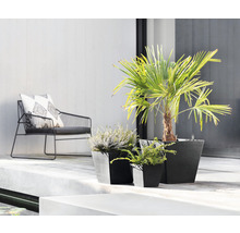 Terrasscène met stoelen en planten in potten