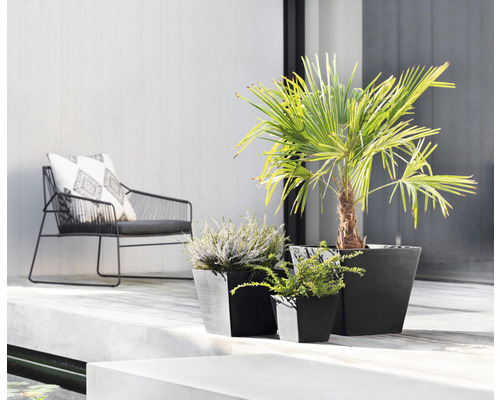 Terrasscène met stoelen en planten in potten