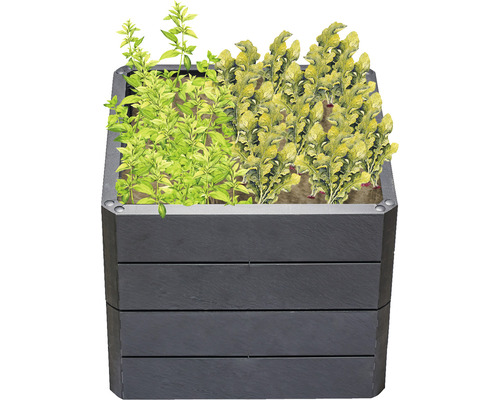 Houten plantenbak gevuld met kruiden en groenten