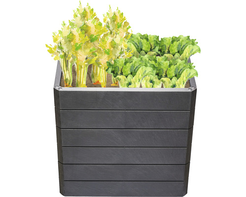 Verhoogde tuinbak met sla en selderij