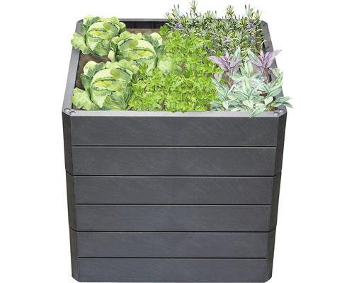 Hoge plantenbak met kool en kruiden