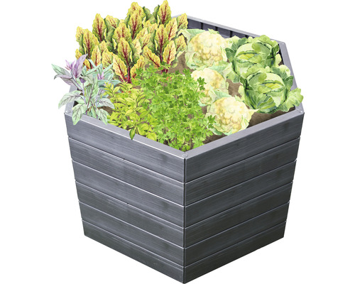 Hoge plantenbak beplant met groenten en kruiden