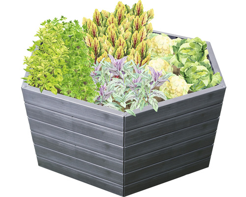 Metalen plantenbak met verschillende groenten