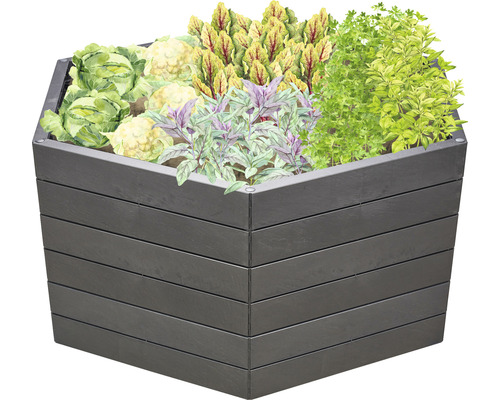Hoge plantenbak met verschillende groenten en kruiden