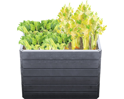 Hoge plantenbak met sla en selderij