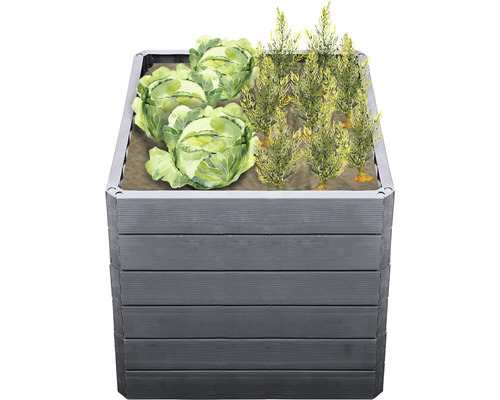 Verhoogde tuinbak met kool en planten