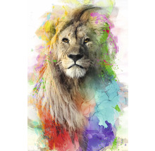 REINDERS Poster Multicolour lion 61x91,5 cm
