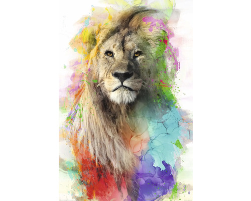 REINDERS Poster Multicolour lion 61x91,5 cm