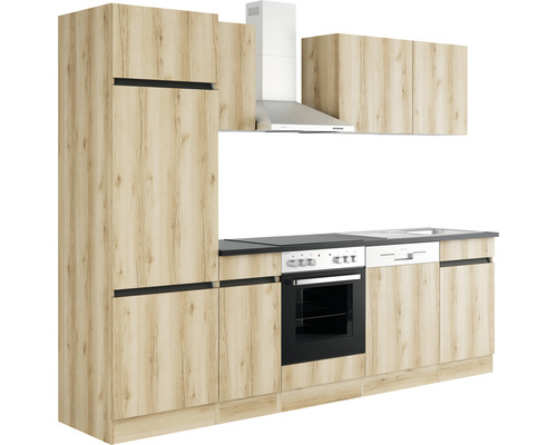 Keukenblok met inbouwkasten, spoelbak, fornuis en afzuigkap