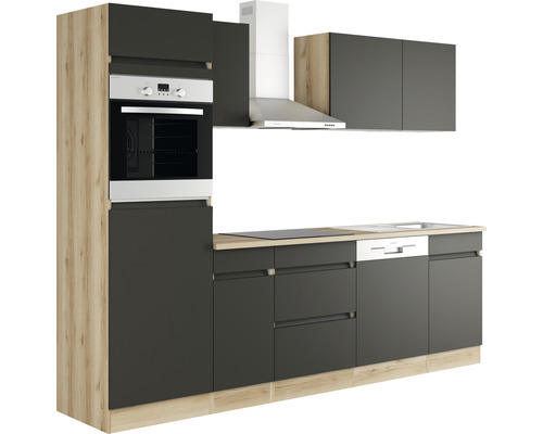 Moderne keuken met inbouwoven, afzuigkap en vaatwasser.