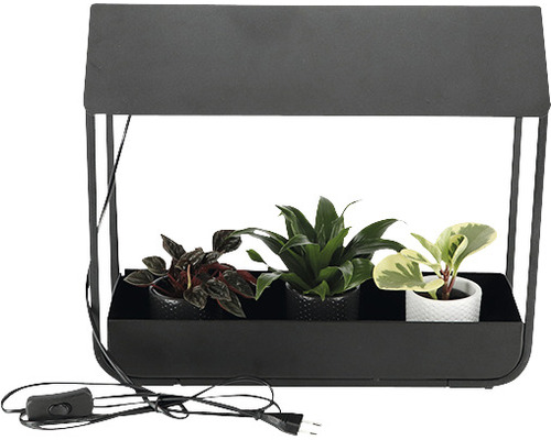 Plantenlamp met drie kamerplanten in potten
