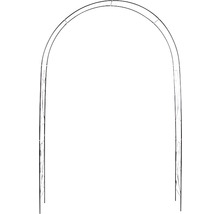 ESSCHERT'S GARDEN Rozenboog krul H 217,5 cm