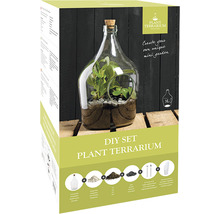 Doe-het-zelf set plantenterrarium in doos