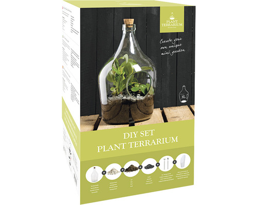 Doe-het-zelf set plantenterrarium in doos
