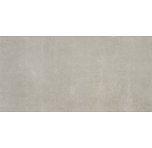 Wand- en vloertegel Elmento grijs 30x60 cm