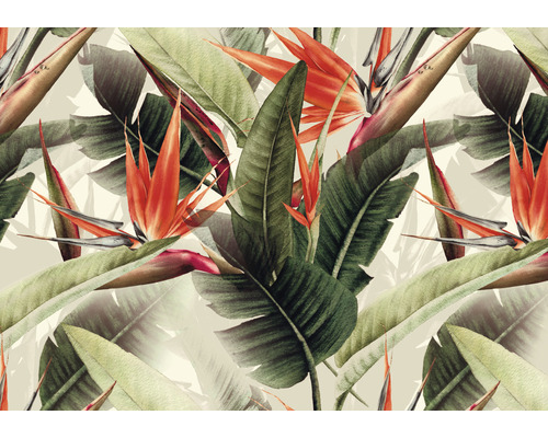 A.S. CRÉATION Fotobehang vlies DD120242 Cuba jungle bloemen 400x280 cm