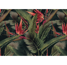 Behang met bloemmotief van tropische bladeren en paradijsvogelbloemen