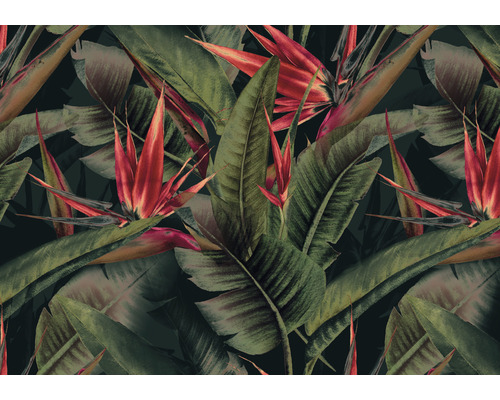 A.S. CRÉATION Fotobehang vlies DD120243 Cuba jungle bloemen 400x280 cm