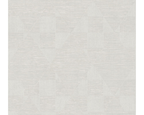 A.S. CRÉATION Vliesbehang 38196-6 Titanium 3 geometrisch beige Behang met geometrisch patroon voor wanddecoratie