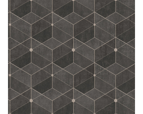 A.S. CRÉATION Vliesbehang 38202-4 Titanium 3 geometrisch bruin Behang met geometrisch kubuspatroon