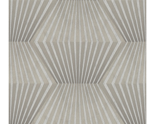A.S. CRÉATION Vliesbehang 38204-3 Titanium 3 geometrisch grijs Behang met geometrisch streepjesmotief